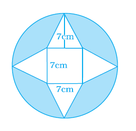 Page 355 Chapter 11 Class 8th NCERT Exemplar